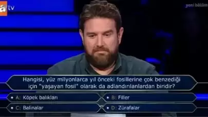 “Yaşayan Fosil” Nedir? Neden Köpek Balıkları Bu Şekilde Adlandırılıyor?