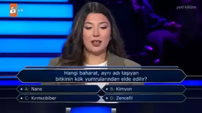 Hangi Baharat, Aynı Adı Taşıyan Bitkinin Kök Yumrularından Elde Edilir?